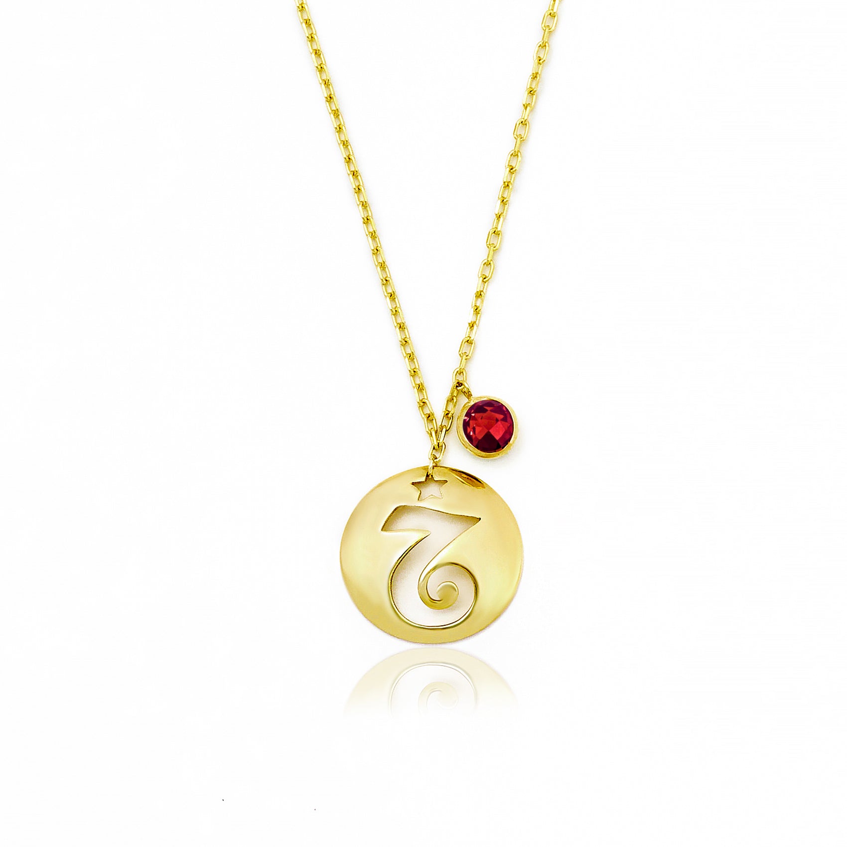 Capricorn Disc Necklace With Birthstone