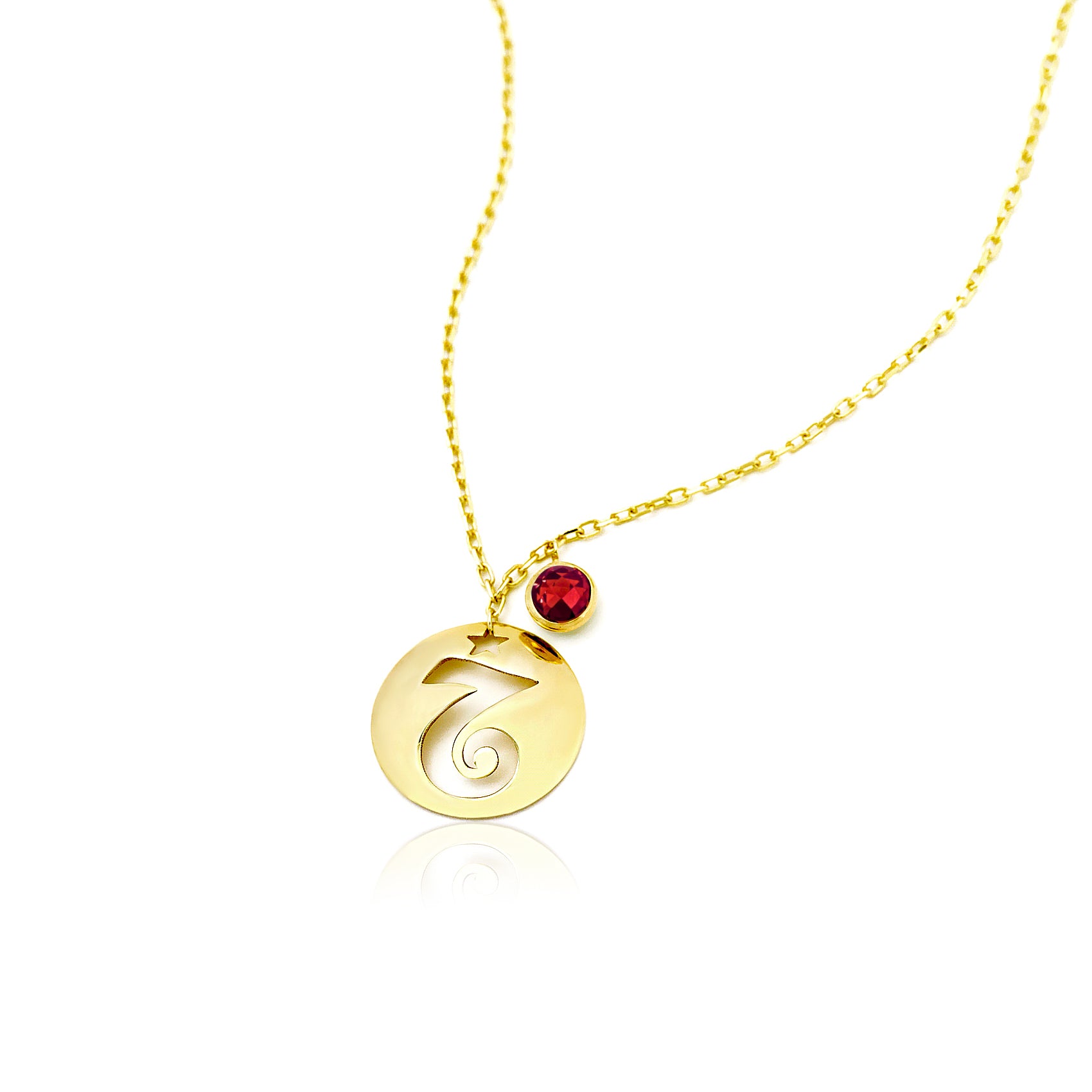 Capricorn Disc Necklace With Birthstone