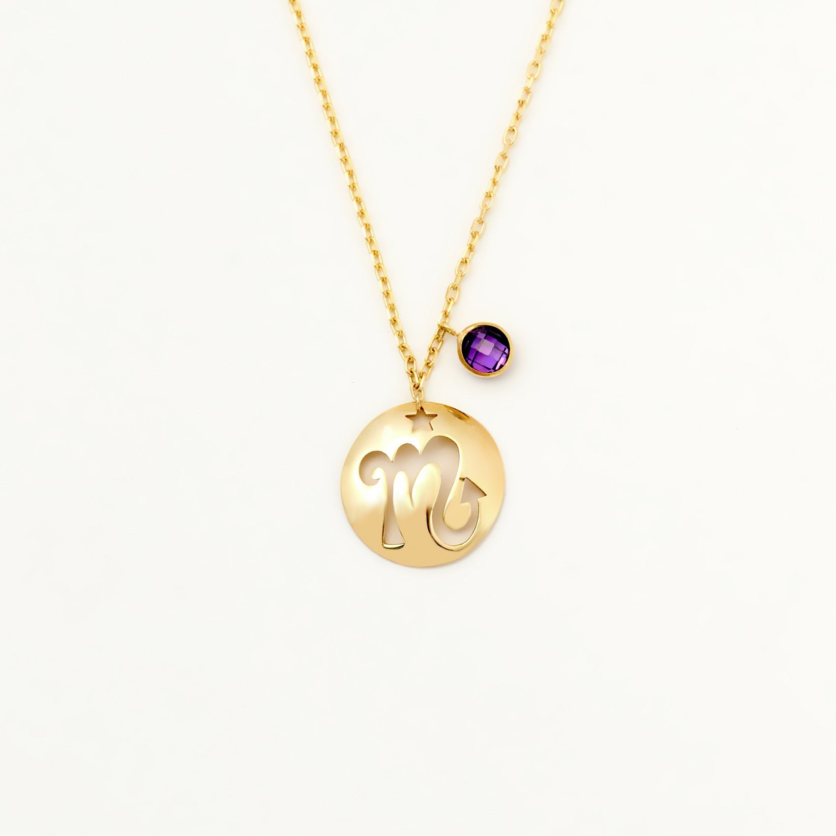 Scorpio Disc Necklace With Birthstone