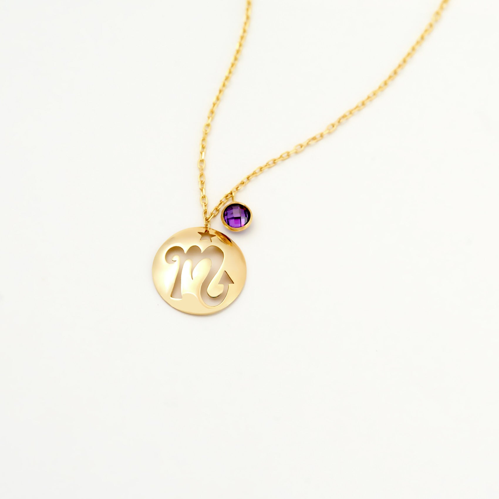 Scorpio Disc Necklace With Birthstone