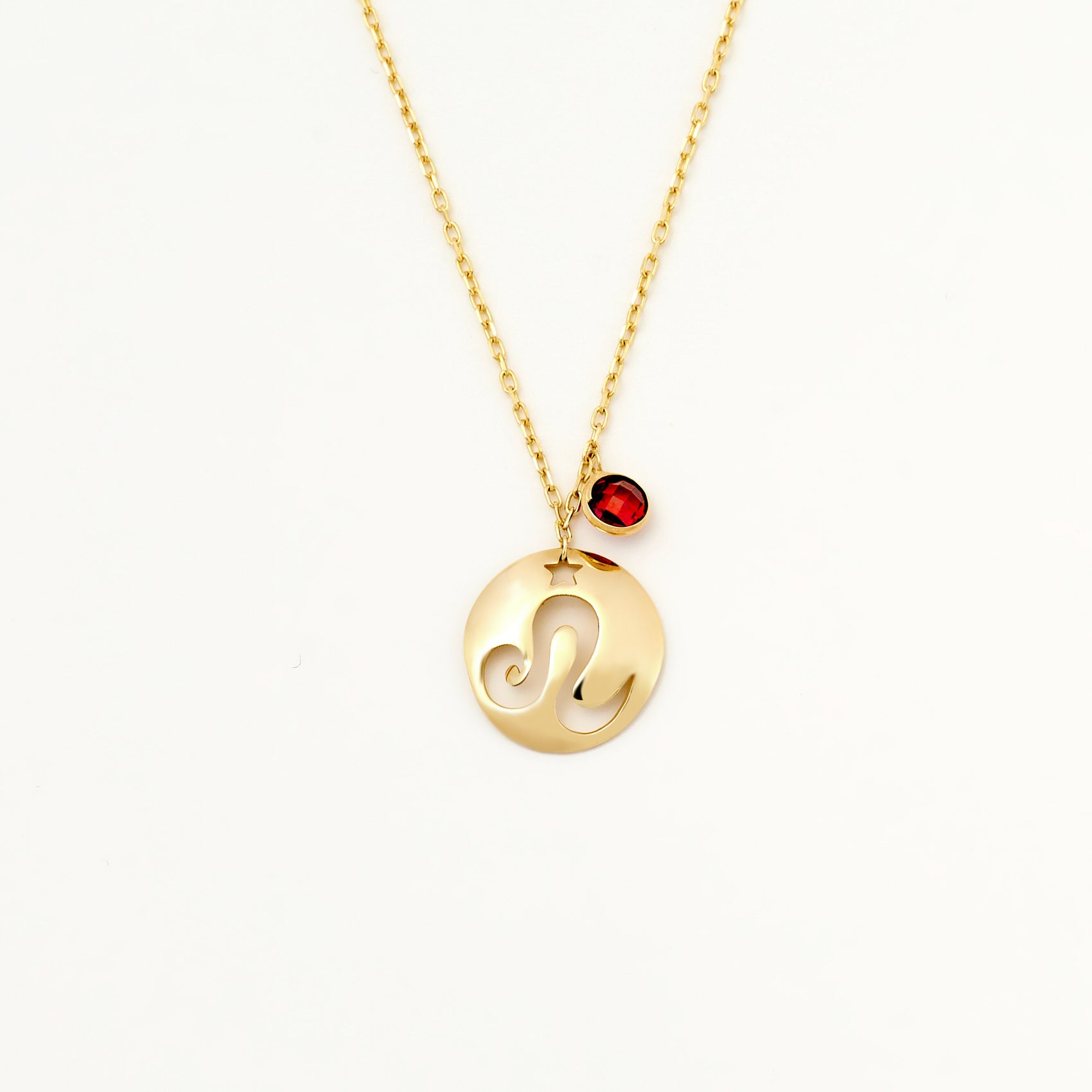 Leo Disc Nacklace With Birthstone