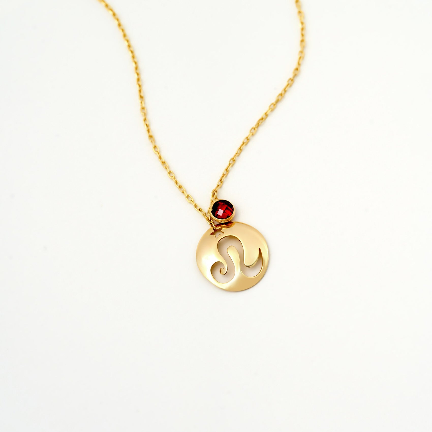 Leo Disc Nacklace With Birthstone