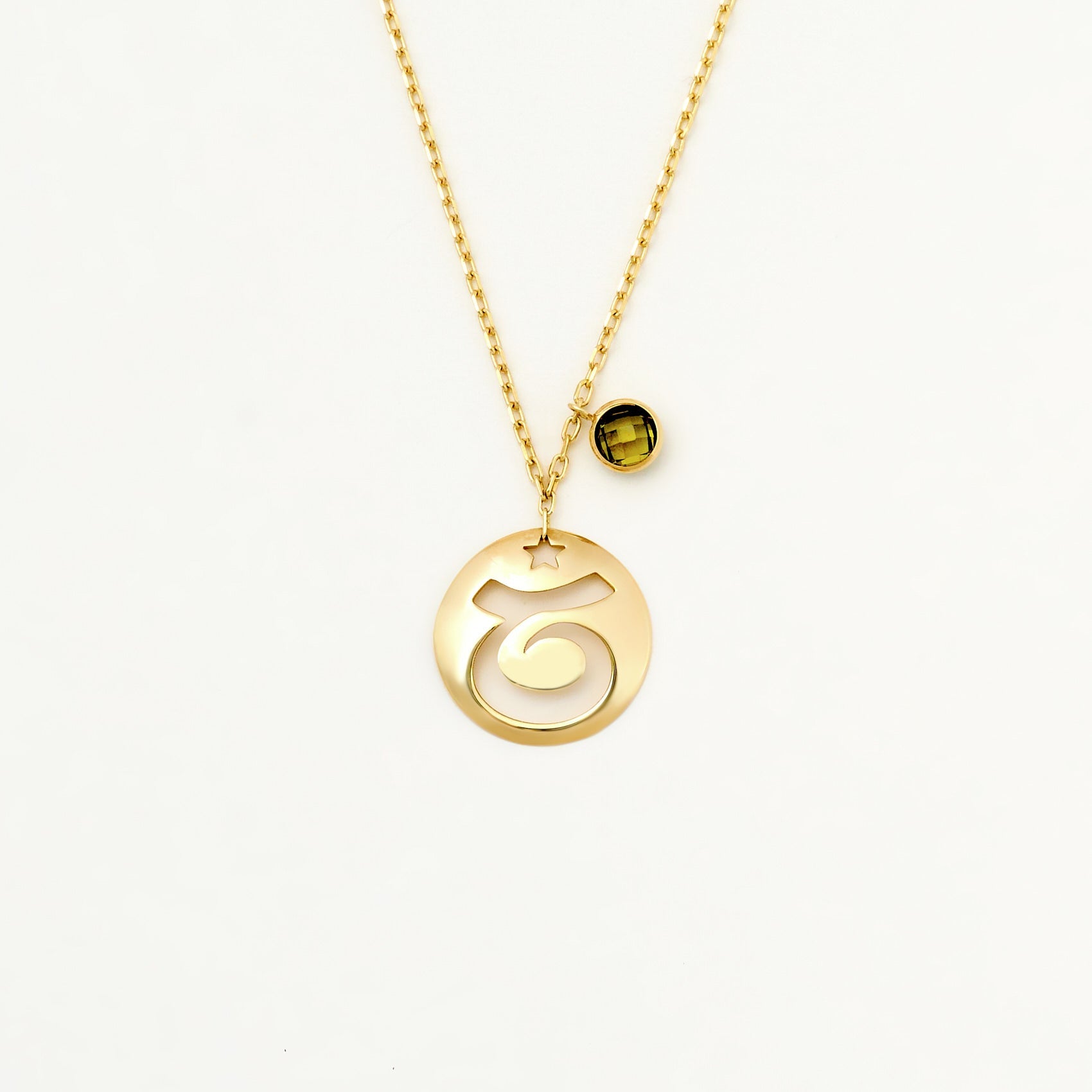 Taurus Disc Nacklace With Birthstone