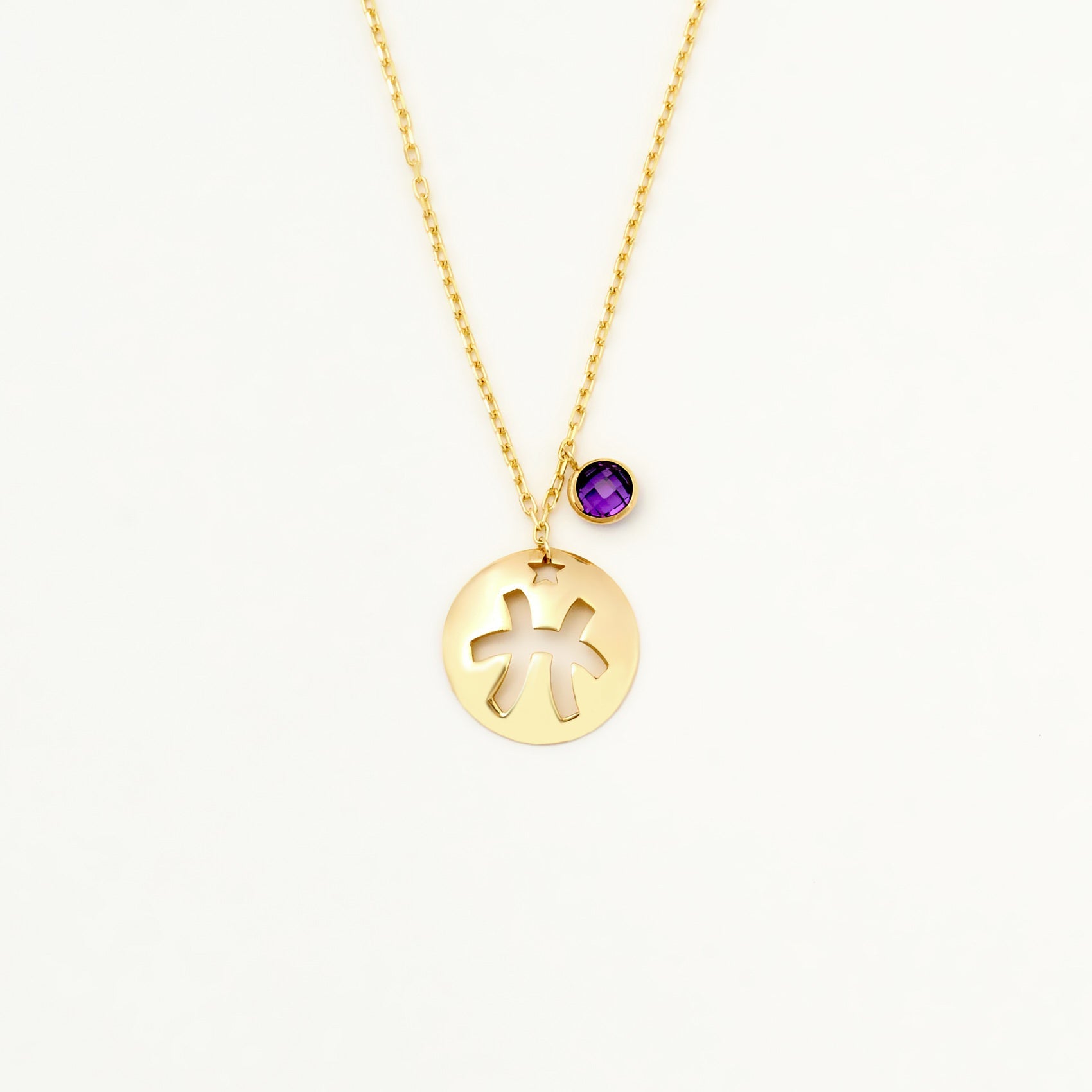 Pisces Disc Necklace With Birthstone