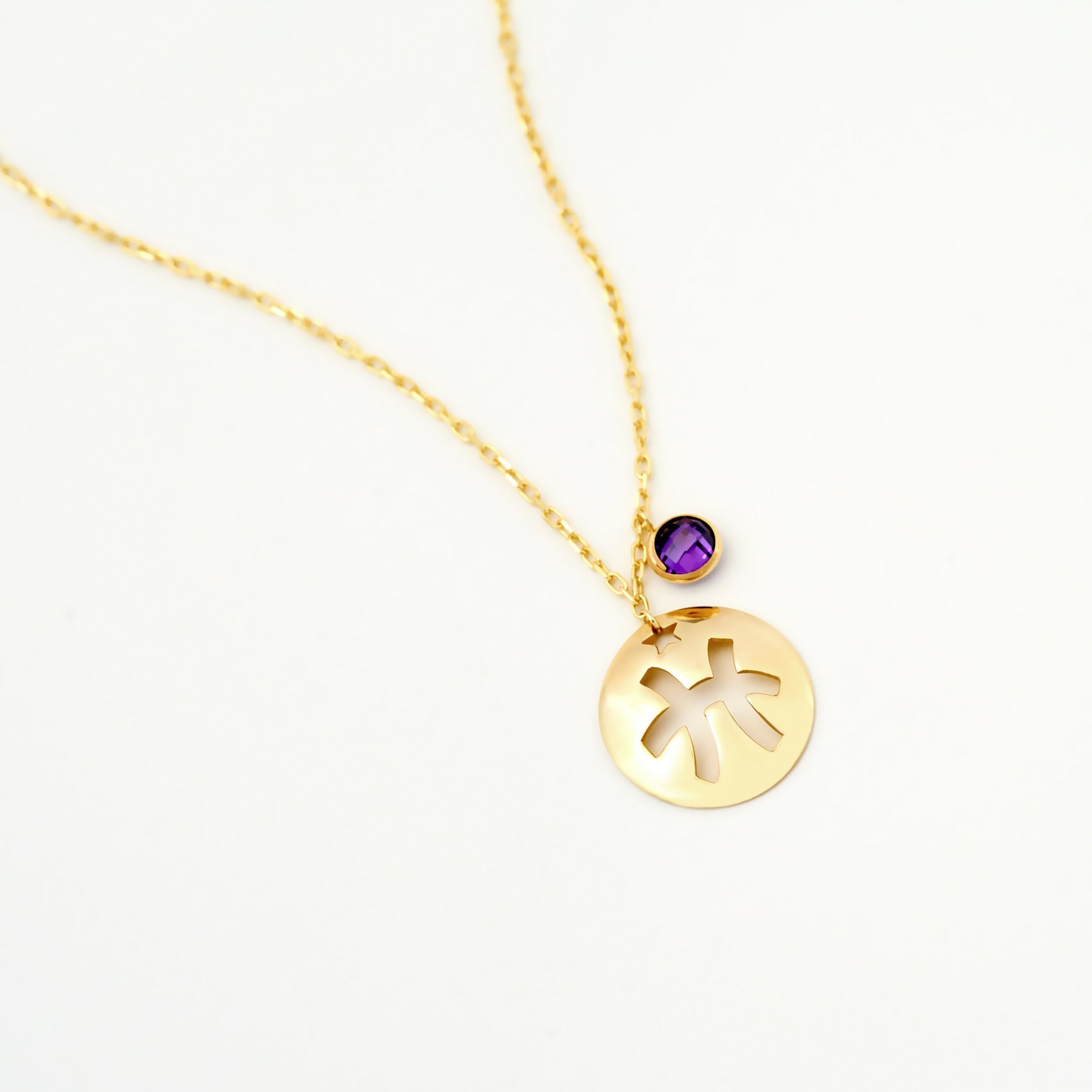 Pisces Disc Necklace With Birthstone