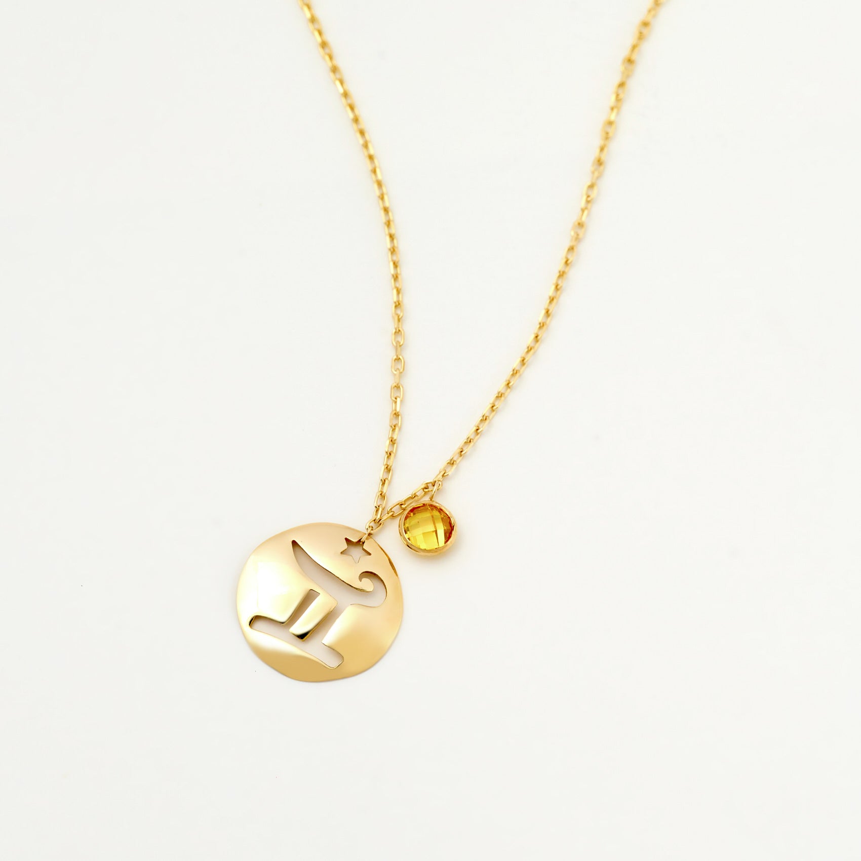 Gemini Disc Necklace With Birthstone