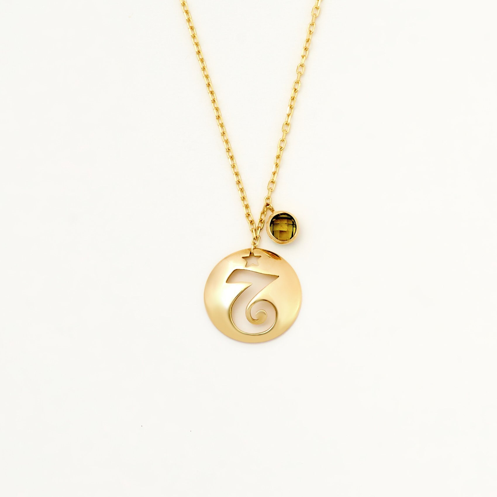 Capricorn Disc Necklace With Birthstone