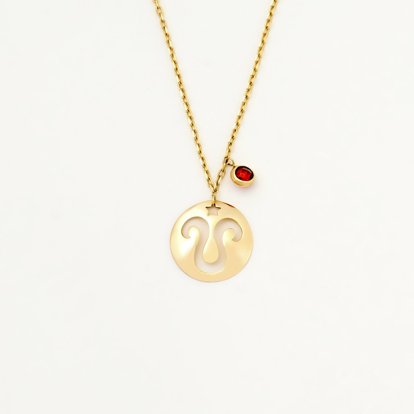 Aries Disc Necklace With Birthstone