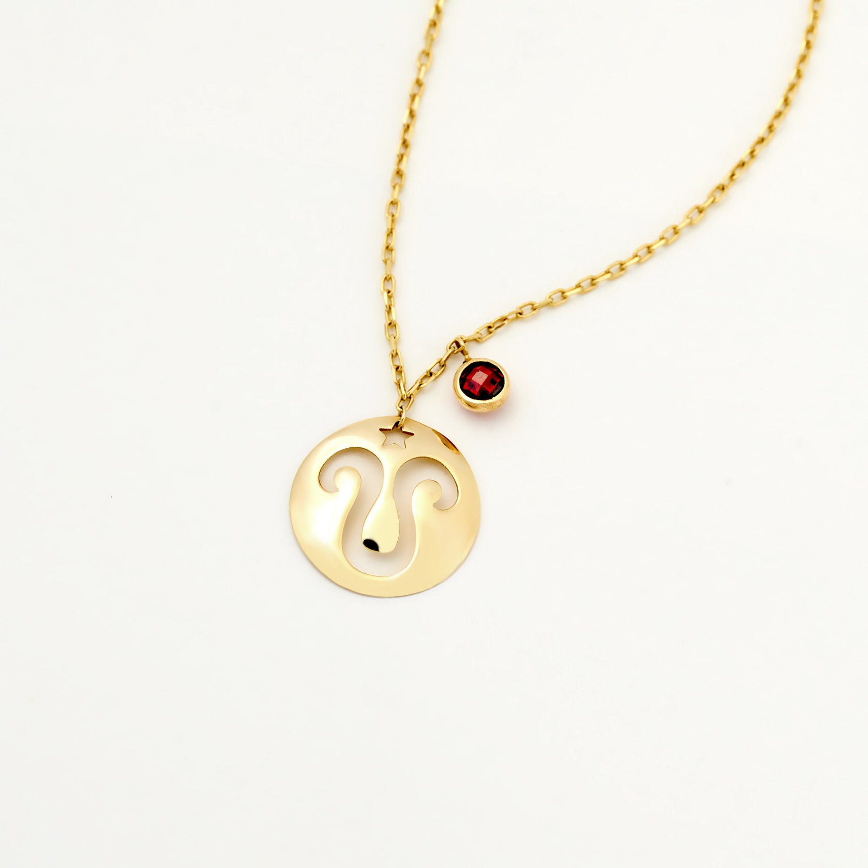 Aries Disc Necklace With Birthstone