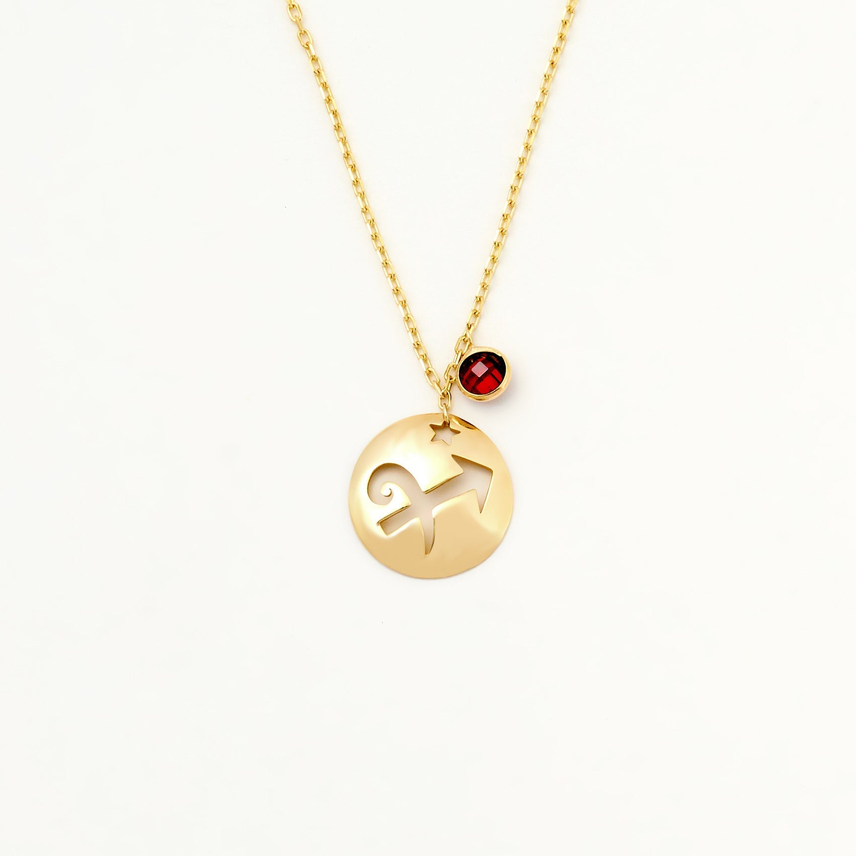 Sagittarius Disc Necklace With Birthstone