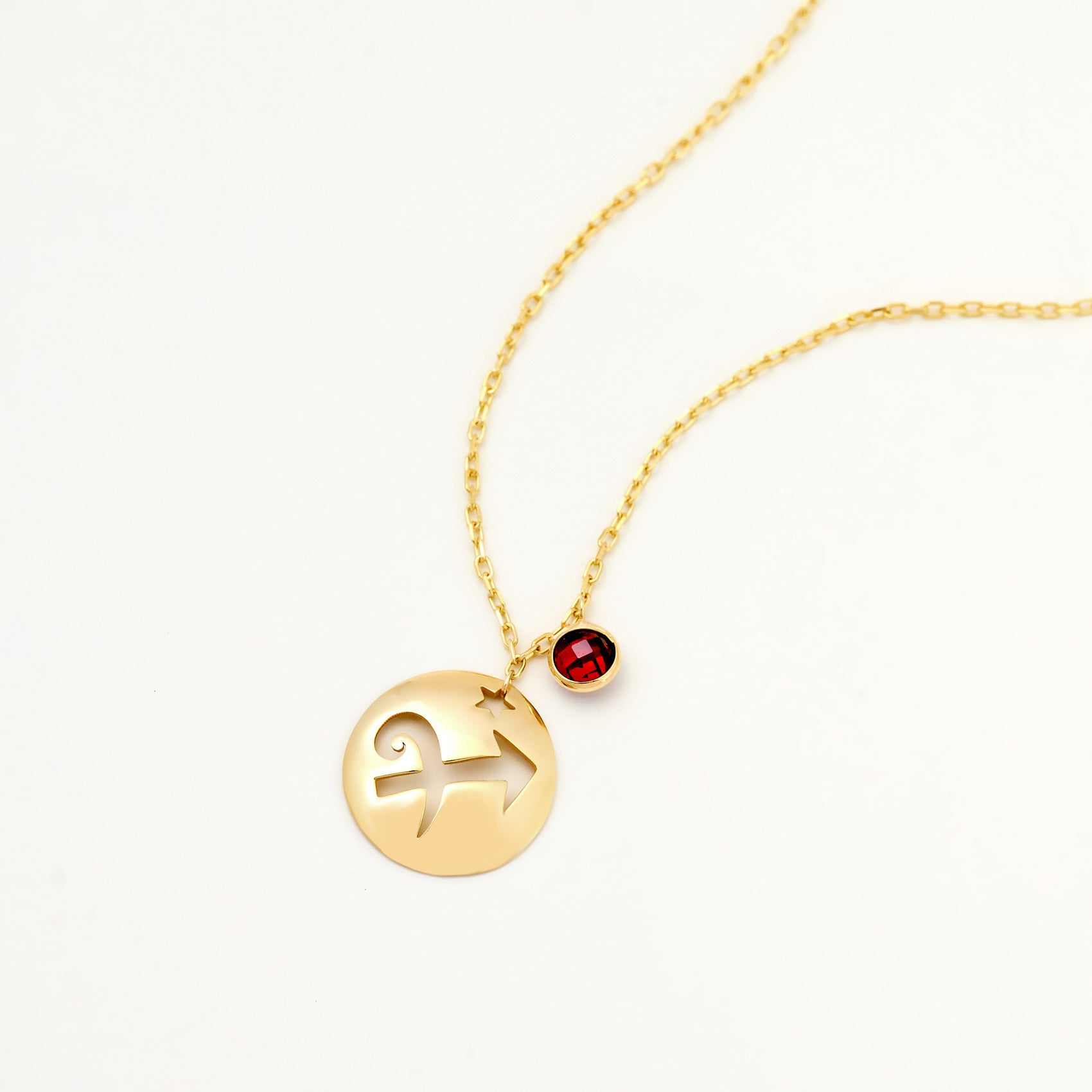 Sagittarius Disc Necklace With Birthstone