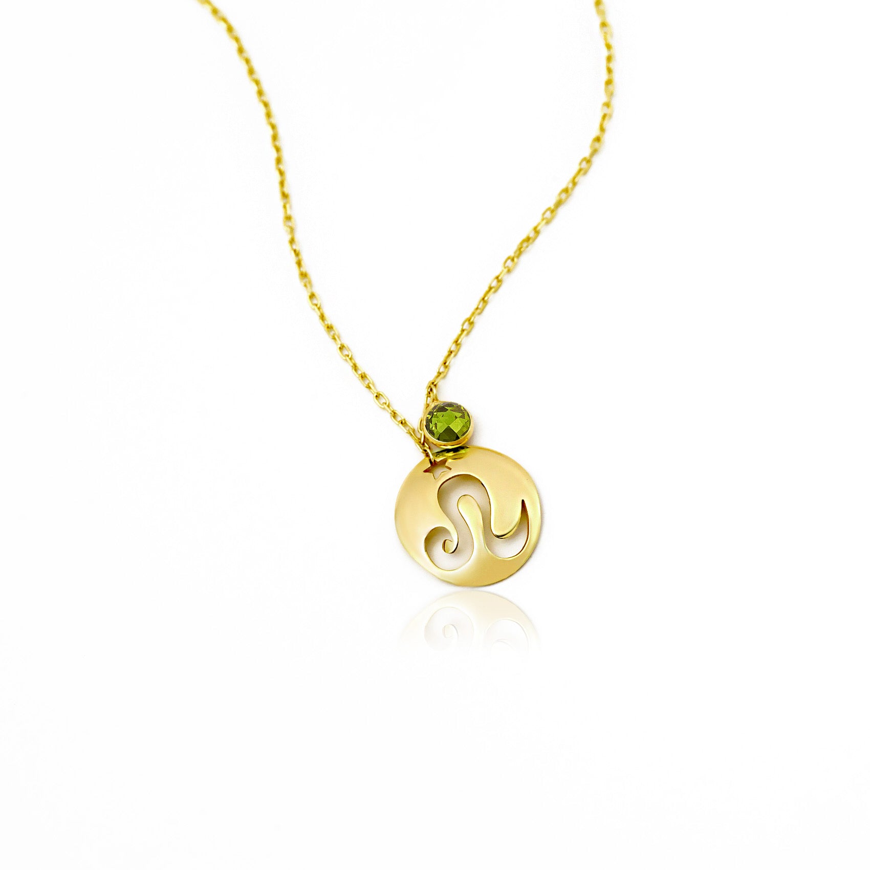 Leo Disc Nacklace With Birthstone